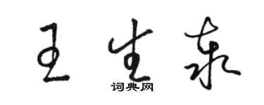 骆恒光王生泰草书个性签名怎么写