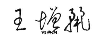 骆恒光王增丽草书个性签名怎么写
