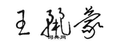 骆恒光王丽蒙草书个性签名怎么写