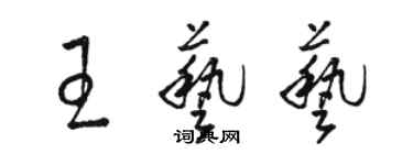 骆恒光王艺艺草书个性签名怎么写