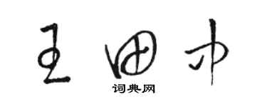 骆恒光王田中草书个性签名怎么写