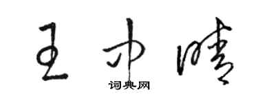 骆恒光王中晴草书个性签名怎么写