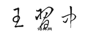 骆恒光王习中草书个性签名怎么写
