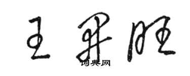 骆恒光王开旺草书个性签名怎么写
