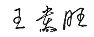 骆恒光王贵旺草书个性签名怎么写