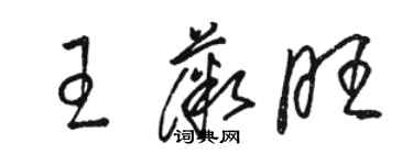 骆恒光王薇旺草书个性签名怎么写