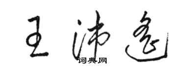 骆恒光王沛遥草书个性签名怎么写