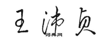 骆恒光王沛贞草书个性签名怎么写