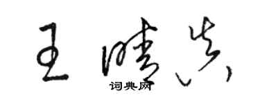 骆恒光王晴真草书个性签名怎么写
