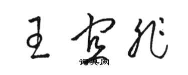 骆恒光王宜非草书个性签名怎么写