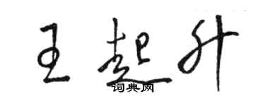 骆恒光王起升草书个性签名怎么写