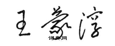 骆恒光王蒙淳草书个性签名怎么写