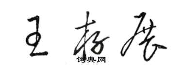 骆恒光王存展草书个性签名怎么写