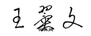 骆恒光王翼文草书个性签名怎么写