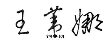 骆恒光王苇娜草书个性签名怎么写