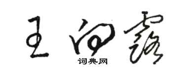 骆恒光王向露草书个性签名怎么写
