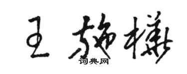 骆恒光王施桦草书个性签名怎么写