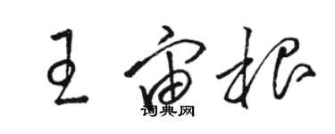 骆恒光王宙根草书个性签名怎么写