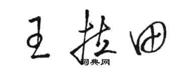 骆恒光王拉田草书个性签名怎么写