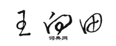 骆恒光王向田草书个性签名怎么写