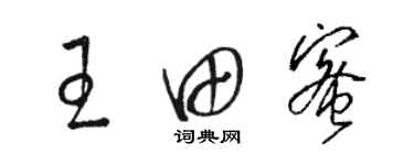 骆恒光王田蜜草书个性签名怎么写