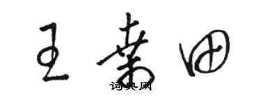 骆恒光王桑田草书个性签名怎么写