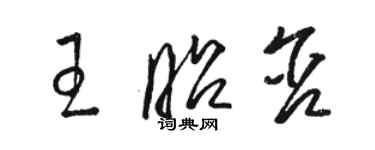 骆恒光王昭含草书个性签名怎么写