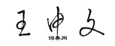 骆恒光王申文草书个性签名怎么写