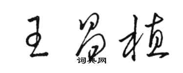 骆恒光王昌植草书个性签名怎么写
