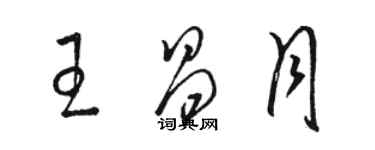 骆恒光王昌月草书个性签名怎么写
