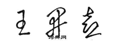 骆恒光王开喜草书个性签名怎么写