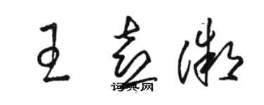 骆恒光王喜微草书个性签名怎么写