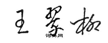 骆恒光王翠柳草书个性签名怎么写