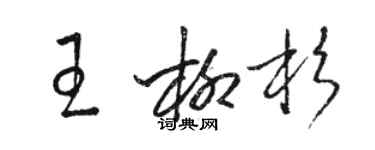骆恒光王柳杉草书个性签名怎么写