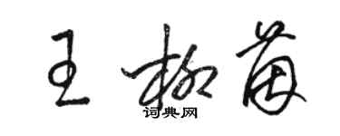 骆恒光王柳茵草书个性签名怎么写