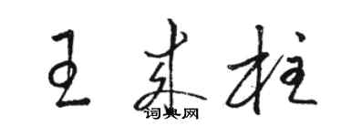 骆恒光王来柱草书个性签名怎么写