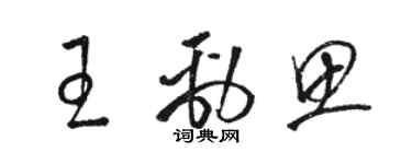 骆恒光王劲思草书个性签名怎么写
