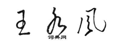 骆恒光王水风草书个性签名怎么写