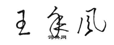 骆恒光王年风草书个性签名怎么写
