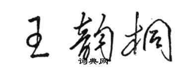 骆恒光王韵桐草书个性签名怎么写