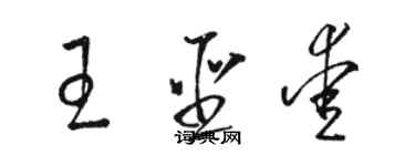骆恒光王圣爱草书个性签名怎么写