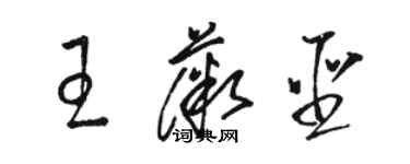 骆恒光王薇圣草书个性签名怎么写