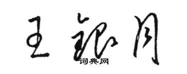 骆恒光王银月草书个性签名怎么写