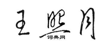 骆恒光王照月草书个性签名怎么写