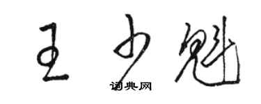 骆恒光王少魁草书个性签名怎么写