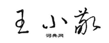 骆恒光王小敬草书个性签名怎么写