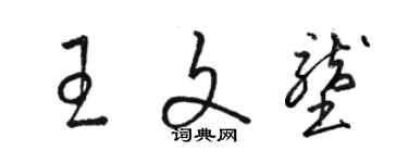 骆恒光王文垄草书个性签名怎么写