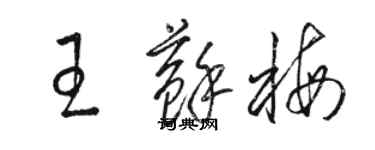 骆恒光王苏梅草书个性签名怎么写
