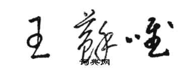 骆恒光王苏唯草书个性签名怎么写