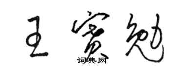 骆恒光王赛勉草书个性签名怎么写